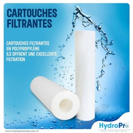 Assurez la Qualité de Votre Eau avec les Membranes d'Osmose Inverse et les Cartouches Filtrantes
